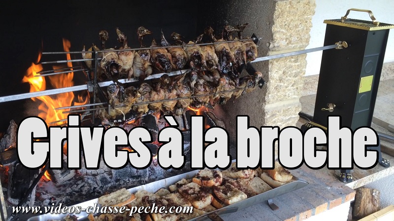 Grives  la broche